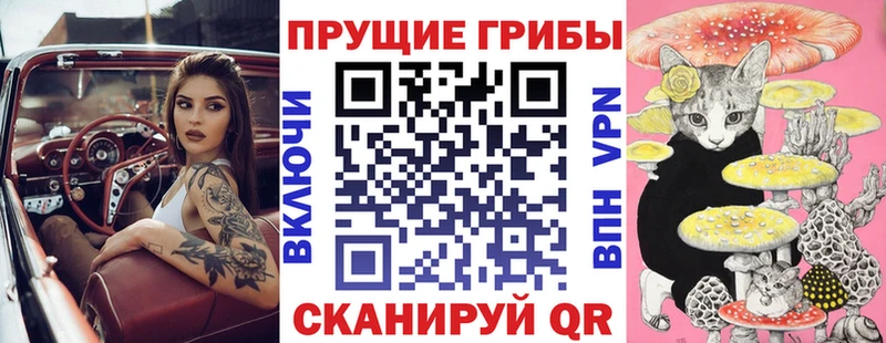 Псилоцибиновые грибы мухоморы Медвежьегорск