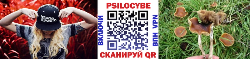 площадка Telegram  кракен маркетплейс  Медвежьегорск  Галлюциногенные грибы ЛСД 